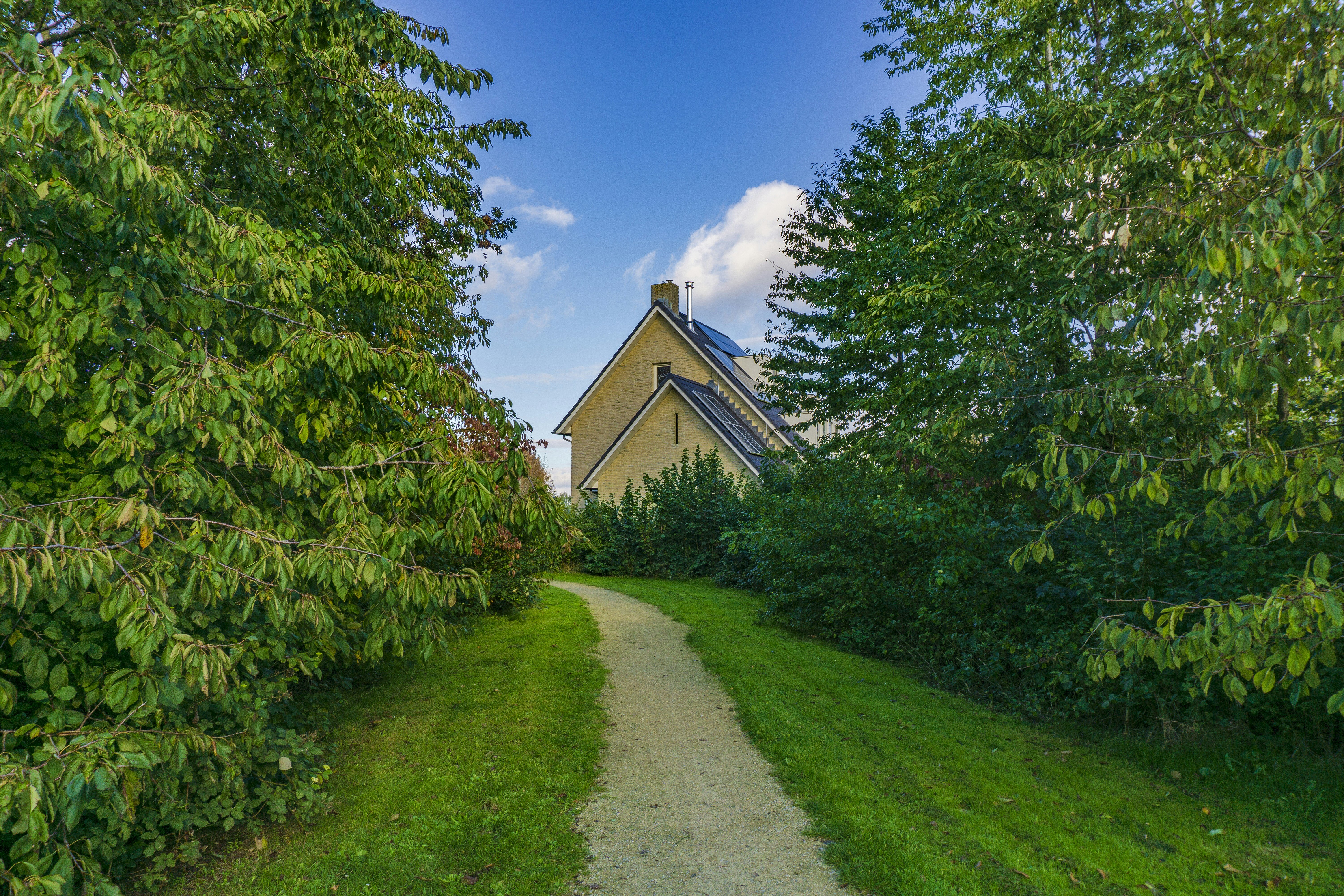 A pathway with grass and trees on either side leading up to house with solar panels. 
